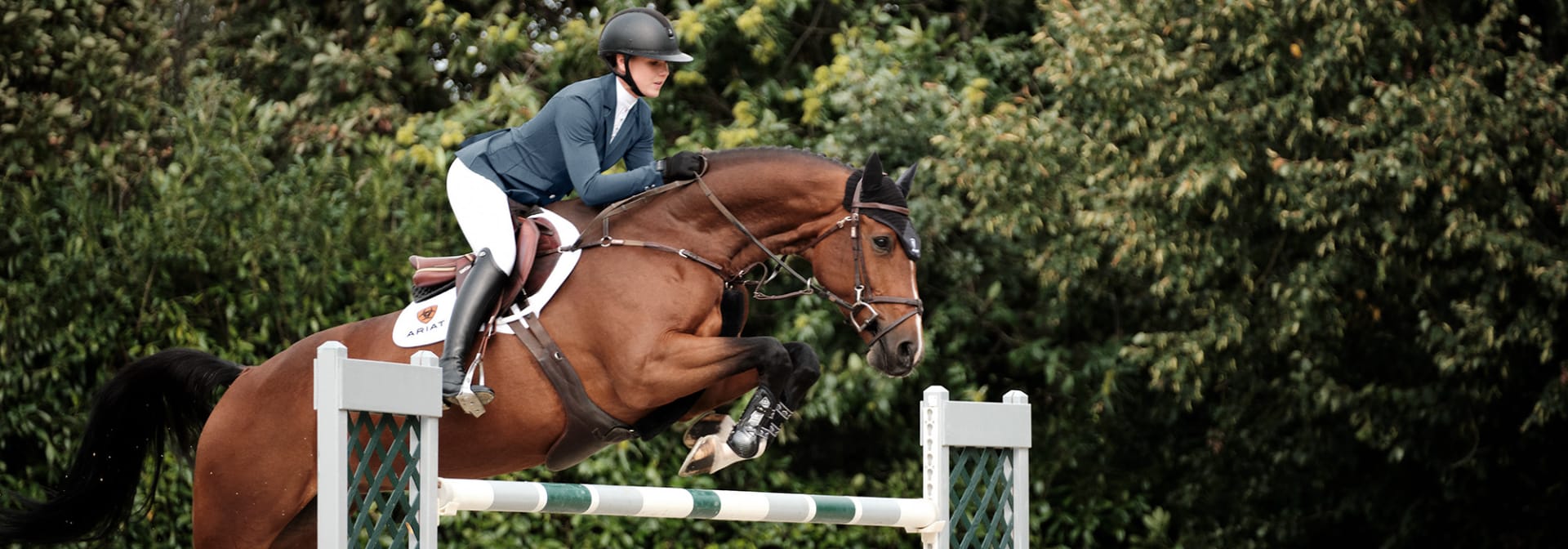 Showjumper on horse, jumping over a jump.